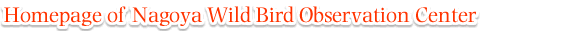 Homepage of Nagoya Wild Bird Observation Center