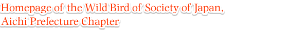 Homepage of the Wild Bird of Society of Japan, Aichi Prefecture Chapter