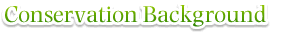 Conservation Background