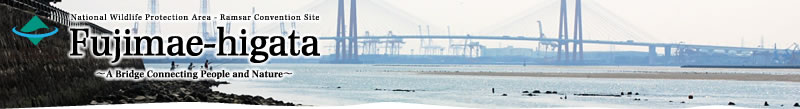 Fujimae-higata ～A Bridge Connecting People and Nature～