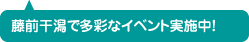 藤前干潟で多彩なイベント実施中！