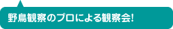 野鳥観察のプロによる観察会！