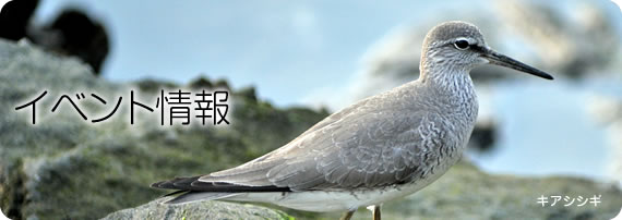 イベント情報