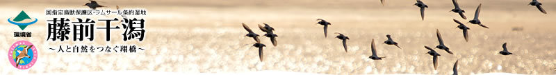 藤前干潟　～人と自然をつなぐ翔橋～