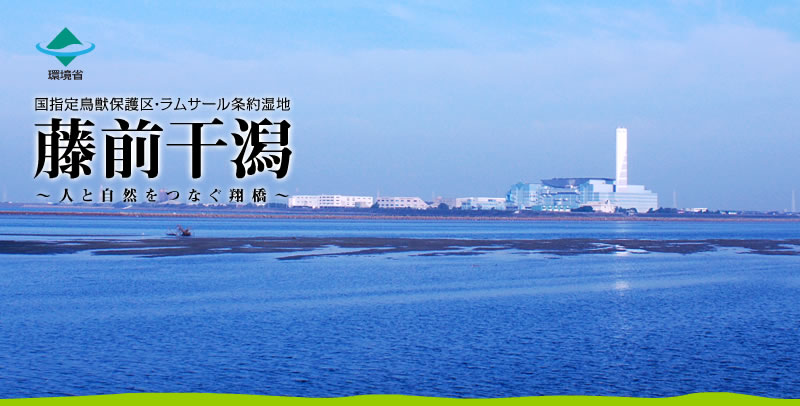 藤前干潟 ~人と自然をつなぐ翔橋~