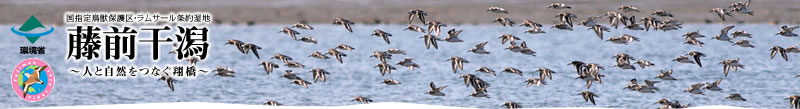 藤前干潟　～人と自然をつなぐ翔橋～