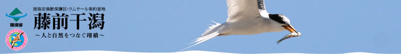 藤前干潟　～人と自然をつなぐ翔橋～