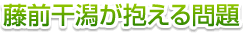 藤前干潟が抱える問題