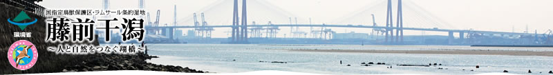 藤前干潟　～人と自然をつなぐ翔橋～