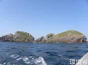 写真：荒三子島