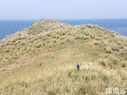 写真：アナウサギ駆除の様子